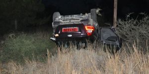 Takla attı, ağacı söktü