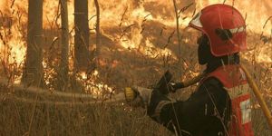 İspanyadaki yangında 3 bin kişi tahliye edildi