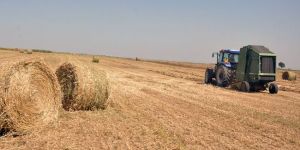 Tarımda faiz destekli kredi