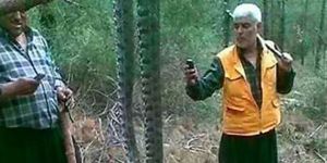 Bu yılan Alevkayası’nda mı?