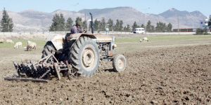 7 Bin 937 üreticiye 10 milyon TL ödeme