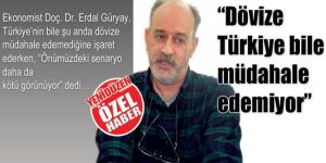 “Dövize Türkiye bile müdahale edemiyor”