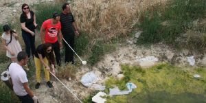 Lefkoşa’da ani sinek akını