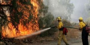 BAF’ta büyük yangın