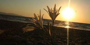 “Kumdan Yaşama” etkinliği