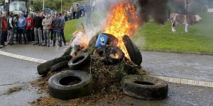 Brükselde hayat duracak