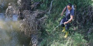 Sivrisinek mücadelesi sürüyor