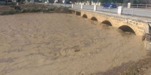 Vadilide sel korkusu