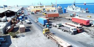 GÜÇ-SEN: “Ülkeye sokulmayan hayvanlar gümrüklerde atıl vaziyette”