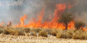 Cayır cayır yandı