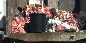 ETLER BÖYLE Mİ TAŞINIYOR?