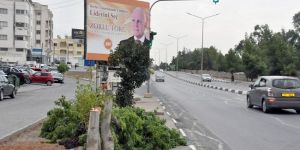 Reklam panosu için mi kesildi?