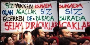 Gezi Parkı direnişine Kıbrıstan destek