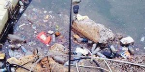 Pislik isyan ettirdi!..