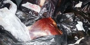 Belediye ekipleri kaçak et yakaladı