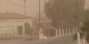 Arabistandan toz geldi!