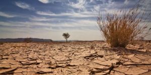 Küresel ısınma seks isteğini azaltıp doğurganlık oranını düşürüyor