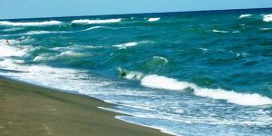 Keppler’in ölüm nedeni “suda boğulma”