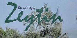 ÖLÜMSÜZ AĞAÇ ZEYTİN 