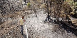 10 Dönüm kül oldu