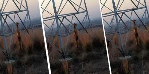 BİZ YAZACAK BİR ŞEY BULAMADIK!