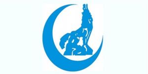 Rusyada Ülkü Ocaklarının kapatılması gündemde! 