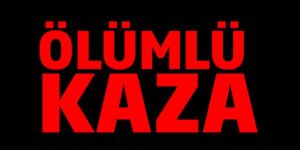 Geçitkalede TIRda can verdi