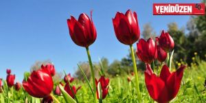 İKTİSATBANK yarışmasında GÜÇLÜ MESAJLAR