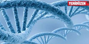 Kanser nedeni gen değil çevre