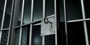 88 mahkuma “Özgürlük Havası”