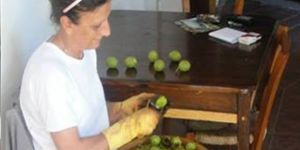 Lefke Ceviz Festivali yarın