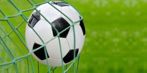 YAK, Forest ve Lefke rahat