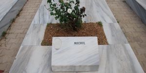 Tekke Bahçesi’ne yeşil ışık…