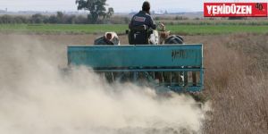 YAĞMURLAR ÇİFTÇİYİ ÜMİTLENDİRDİ