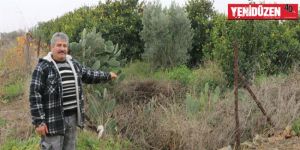  “Virajı alamayan bahçeme giriyor, bıktım!”