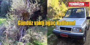 Orman Dairesi’nin dikkatine!