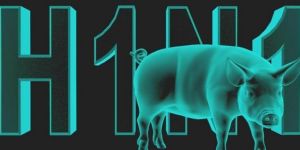 Lefkoşada domuz gribi vakası!