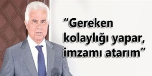 Eroğlu, görevi Sibere verdi