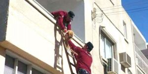 Mahsur kalan kediler kurtarıldı