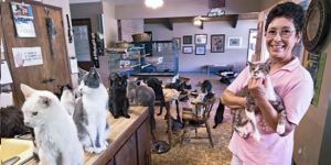 Evini 1100 kediyle paylaşıyor