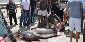 VİNÇLE ÇIKARDILAR