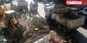 “Dereboyu’ndaki iki çam korunmalıydı...”