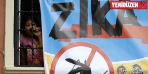 Zika virüsü 33 ülkeye yayıldı!
