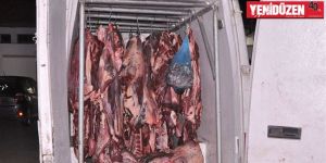 Güney’den 2 bin kilo “kaçak et”e suç üstü