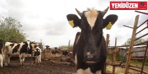 150 üreticiye 91 bin TL tazminat