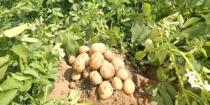 İtirazlar incelendi