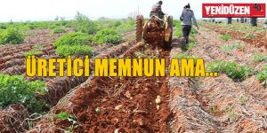 Bu yıl 4 bin ton patates ihraç ederiz