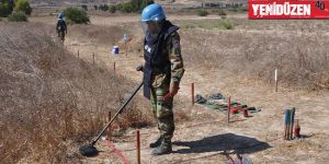 Aplıç mayınlardan temizlendi