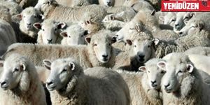 3548 üreticiye 7 milyon TL