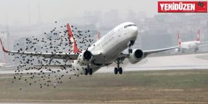 Motoruna kuş giren uçak, geri döndü